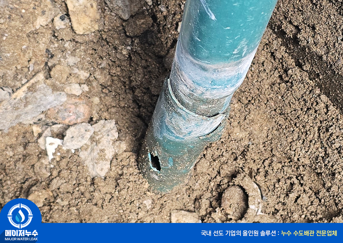 동작동 누수탐지